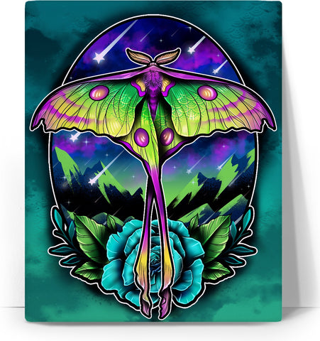 Comet Moth