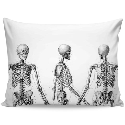 Skeleton  Reference